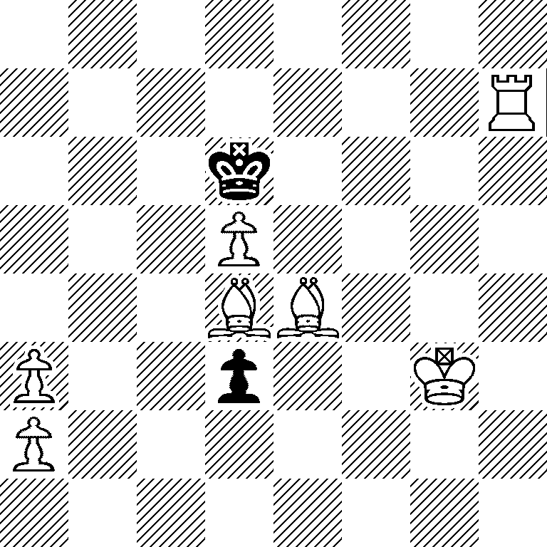 8/7R/3k4/3P4/3BB3/P2p2K1/P7/8