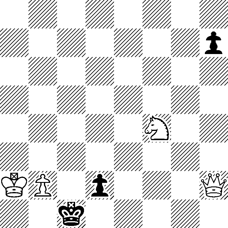 8/7p/8/8/5N2/8/KP1p3Q/2k5