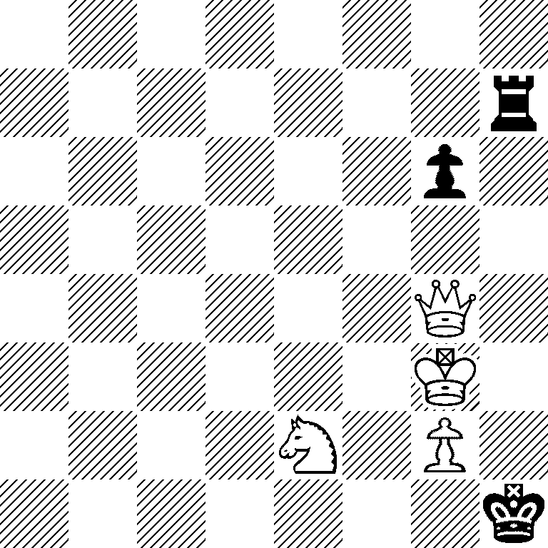 8/7r/6p1/8/6Q1/6K1/4N1P1/7k