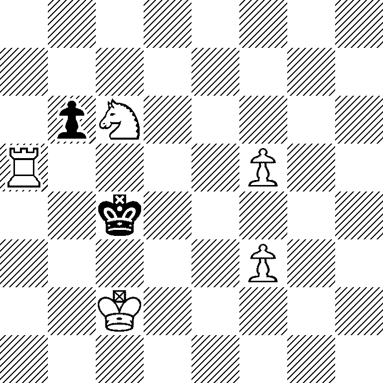 8/8/1pN5/R4P2/2k5/5P2/2K5/8