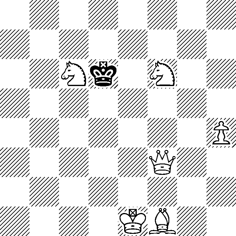 8/8/2Nk1N2/8/7P/5Q2/8/4KB2