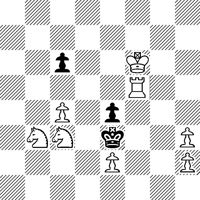 8/8/2p2K2/5R2/2P1p3/1NN1k2P/4P2P/8