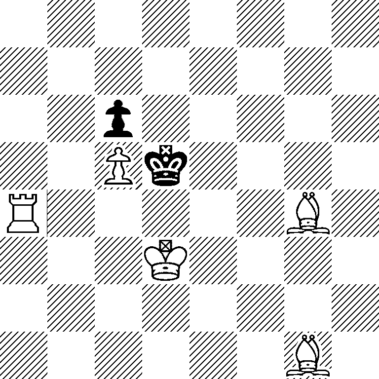 8/8/2p5/2Pk4/R5B1/3K4/8/6B1