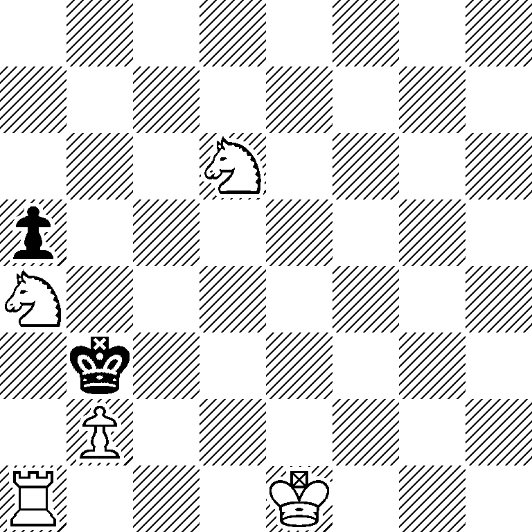 8/8/3N4/p7/N7/1k6/1P6/R3K3