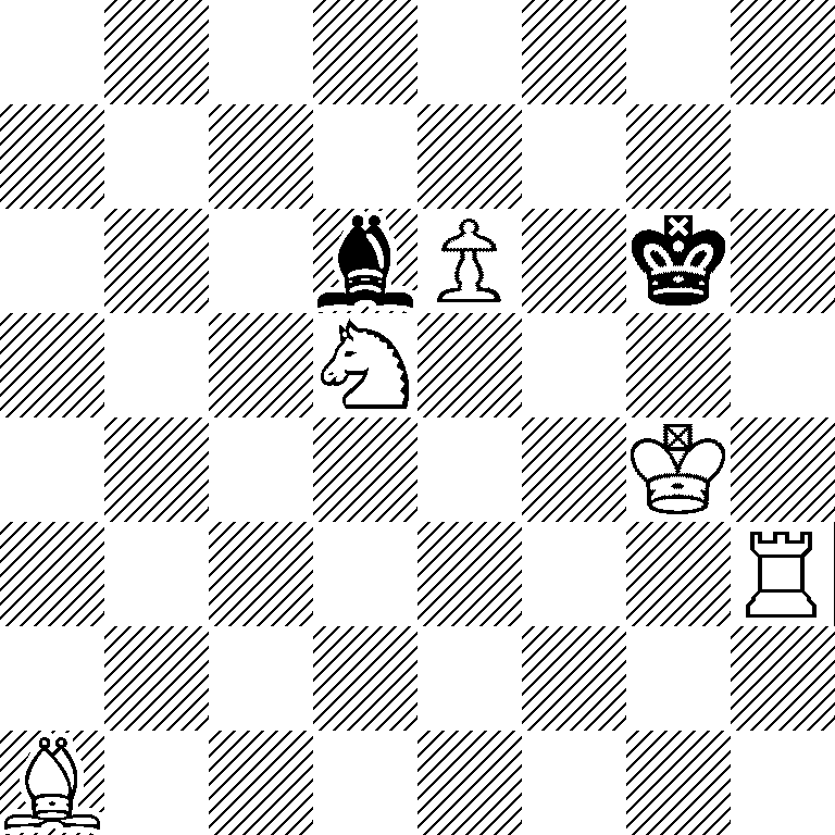 8/8/3bP1k1/3N4/6K1/7R/8/B7