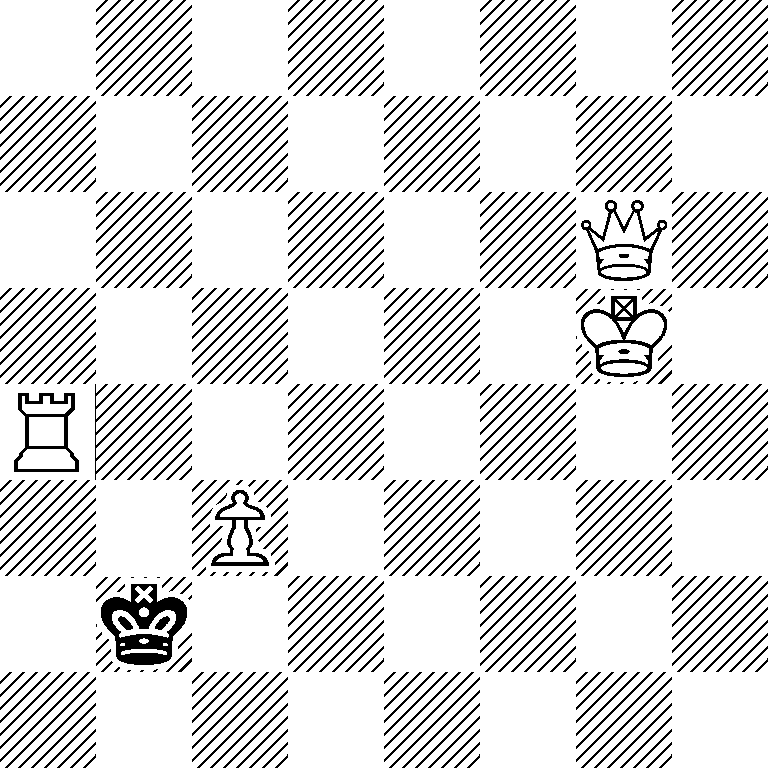 8/8/6Q1/6K1/R7/2P5/1k6/8