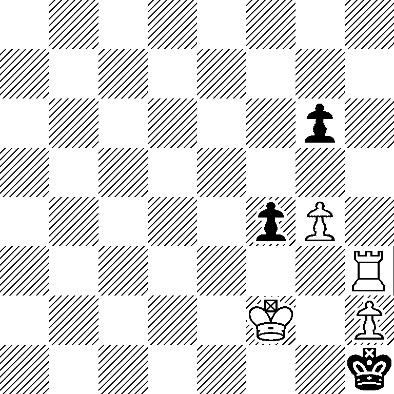 8/8/6p1/8/5pP1/7R/5K1P/7k