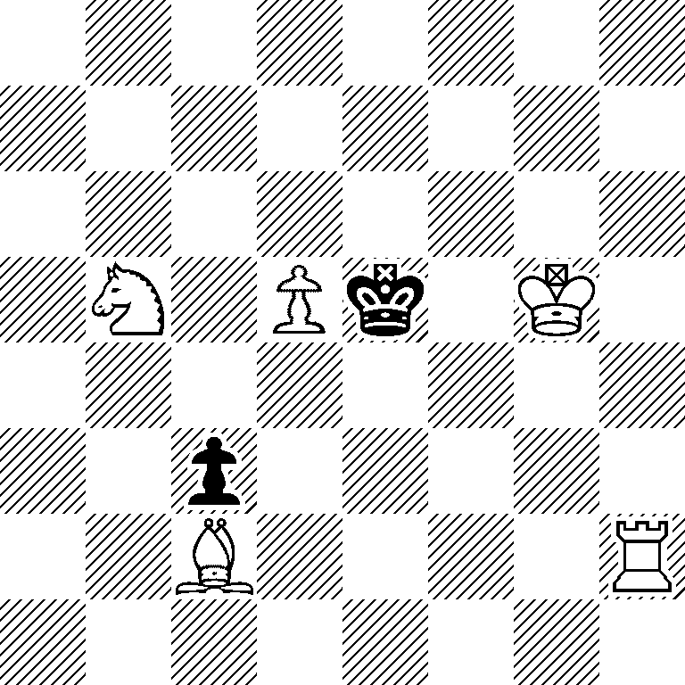 8/8/8/1N1Pk1K1/8/2p5/2B4R/8