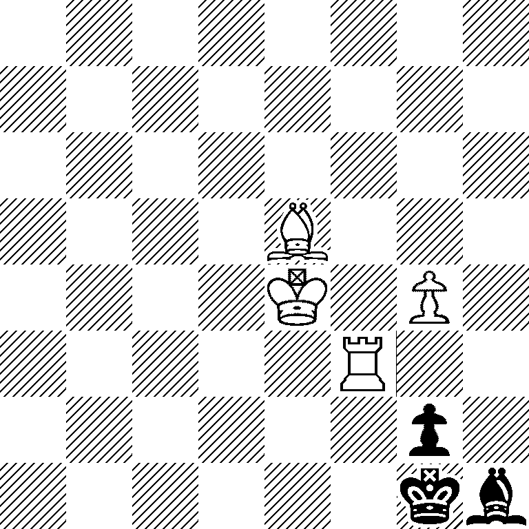 8/8/8/4B3/4K1P1/5R2/6p1/6kb