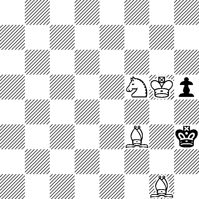 8/8/8/5NKp/8/5B1k/8/6B1