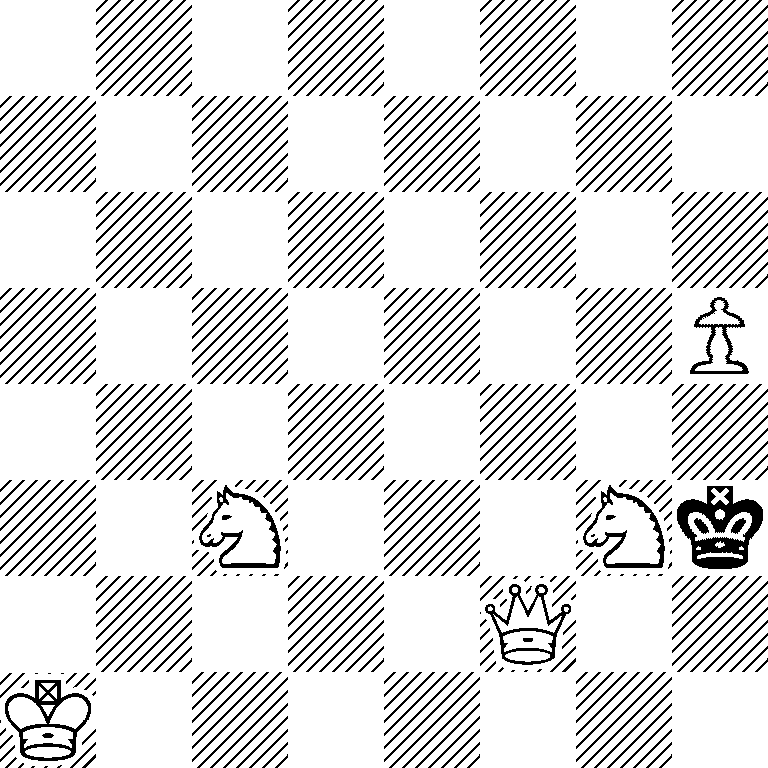 8/8/8/7P/8/2N3Nk/5Q2/K7