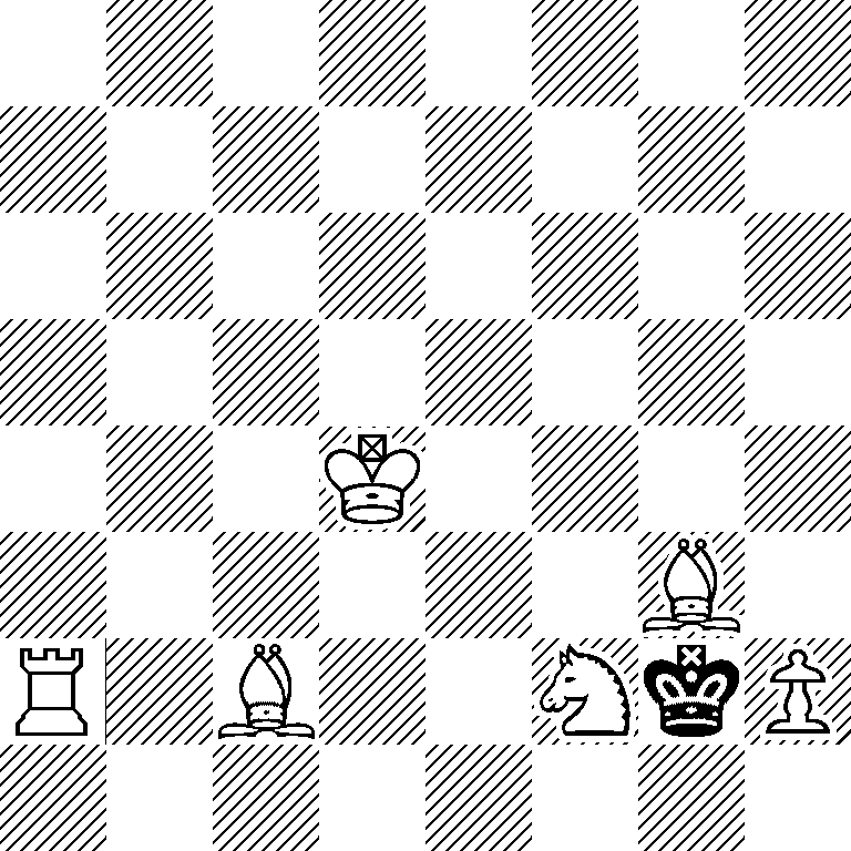 8/8/8/8/3K4/6B1/R1B2NkP/8