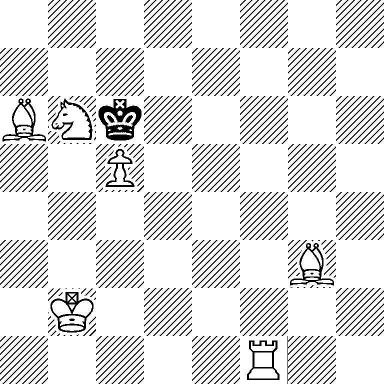 8/8/BNk5/2P5/8/6B1/1K6/5R2