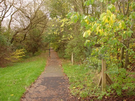 Waterthorpe view 1