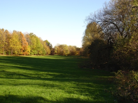 Waterthorpe view 3